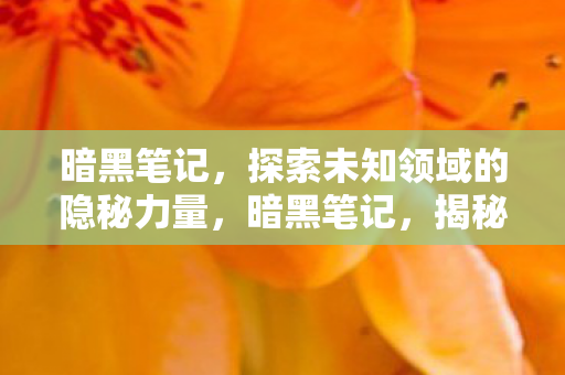 暗黑笔记,探索未知领域的隐秘力量,暗黑笔记,揭秘未知领域的隐秘力量 暗黑笔记,探索未知领域的隐秘力量,暗黑笔记,揭秘未知领域的隐秘力量