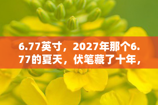 6.77英寸,2027年那个6.77的夏天,伏笔藏了十年,如今想起鼻子一酸 6.77英寸,2027年那个6.77的夏天,伏笔藏了十年,如今想起鼻子一酸