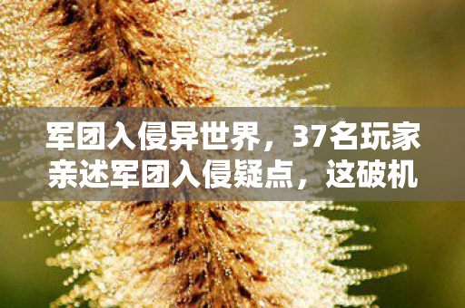 37名玩家亲述军团入侵疑点图片