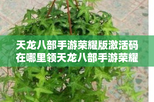 天龙八部手游荣耀版激活码在哪里领天龙八部手游荣耀版激活码，解锁你的武侠梦，解锁武侠梦，天龙八部手游荣耀版激活码领取指南