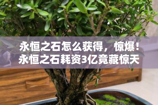 永恒之石耗资3亿竟藏惊天隐情图片