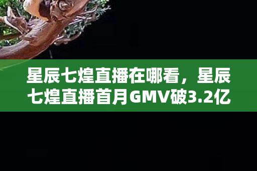 星辰七煌直播首月GMV破3图片