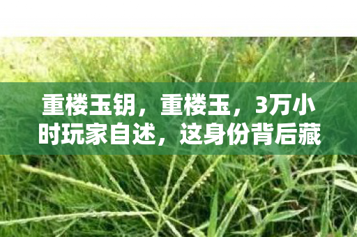 重楼玉钥,重楼玉,3万小时玩家自述,这身份背后藏着多少心酸泪? 重楼玉钥,重楼玉,3万小时玩家自述,这身份背后藏着多少心酸泪?