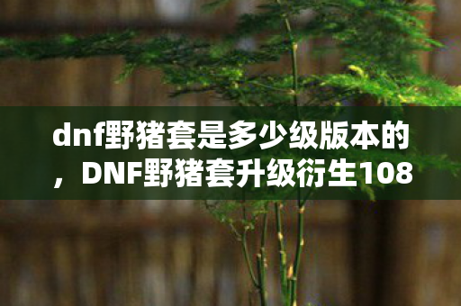 DNF野猪套升级衍生108种破圈玩法图片