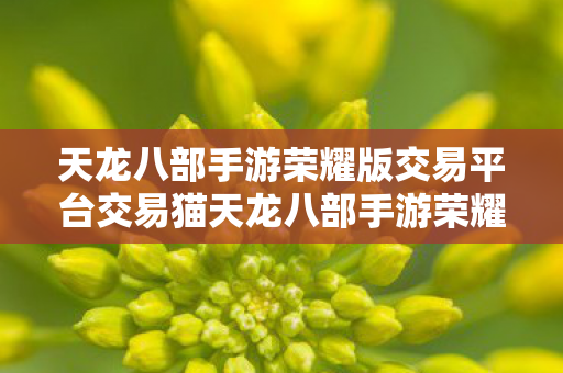 天龙八部手游荣耀版交易平台交易猫天龙八部手游荣耀版交易平台,安全、便捷的游戏资产交易新体验,交易猫天龙八部手游荣耀版交易平台,安全便捷,游戏资产交易新体验 天龙八部手游荣耀版交易平台交易猫天龙八部手游荣耀版交易平台,安全、便捷的游戏资产交易新体验,交易猫天龙八部手游荣耀版交易平台,安全便捷,游戏资产交易新体验