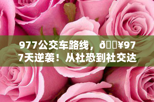 977公交车路线图片