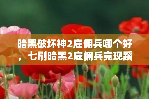 暗黑破坏神2雇佣兵哪个好图片