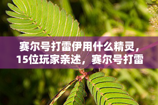 赛尔号打雷伊用什么精灵图片
