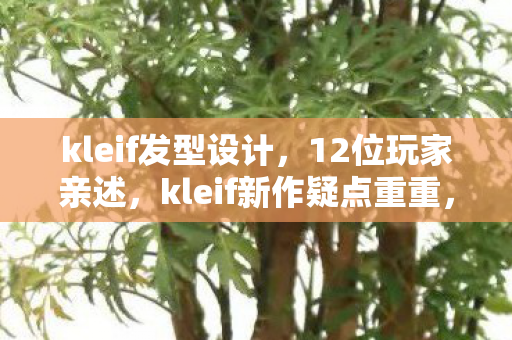 kleif新作疑点重重图片