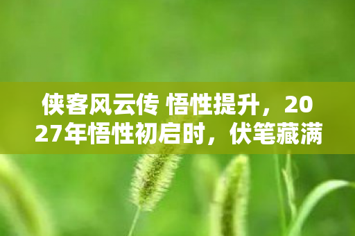 侠客风云传 悟性提升，2027年悟性初启时，伏笔藏满江湖路，再见时却鼻子一酸