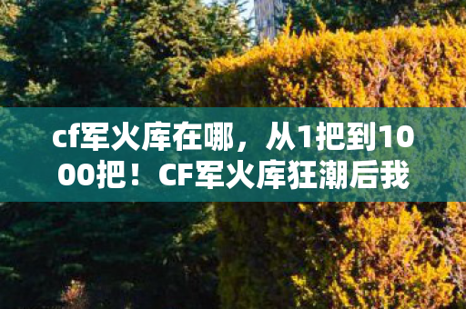 CF军火库狂潮后我为何又跪回坑底图片