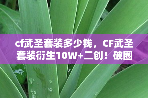 破圈音乐综艺后竟攻占巴黎秀场图片