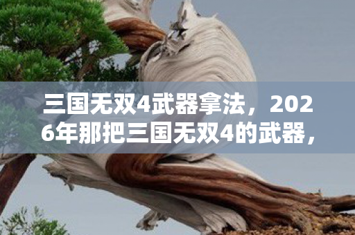 2026年那把三国无双4的武器图片