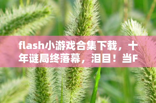 当Flash的倒计时吞噬了所有可能图片