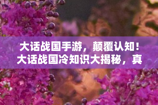 大话战国冷知识大揭秘图片