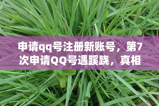 第7次申请QQ号遇蹊跷图片