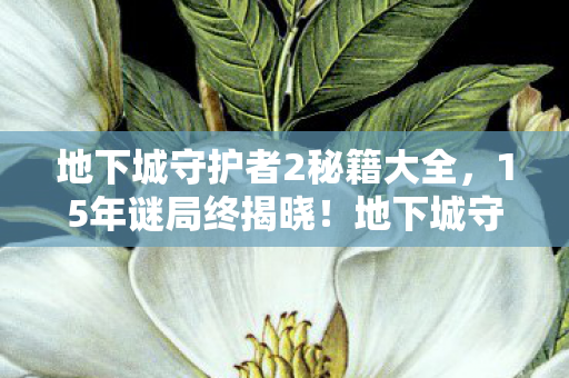 地下城守护者2秘籍大全图片