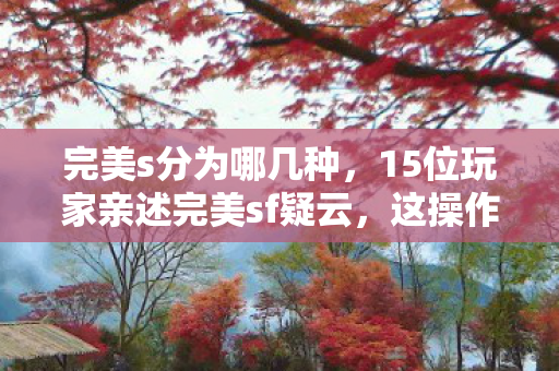 15位玩家亲述完美sf疑云图片
