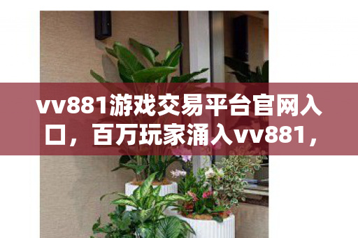 vv881游戏交易平台官网入口图片