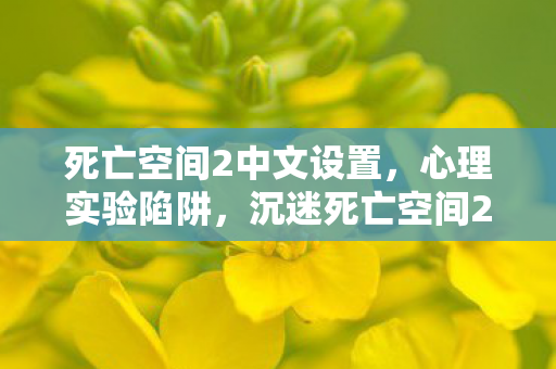 死亡空间2中文设置图片
