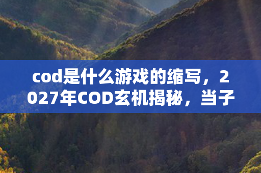 2027年COD玄机揭秘图片