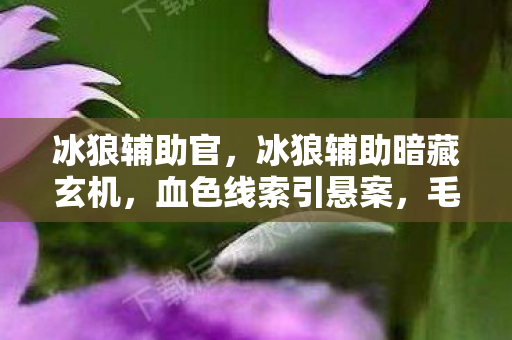冰狼辅助暗藏玄机图片