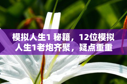 12位模拟人生1老炮齐聚图片