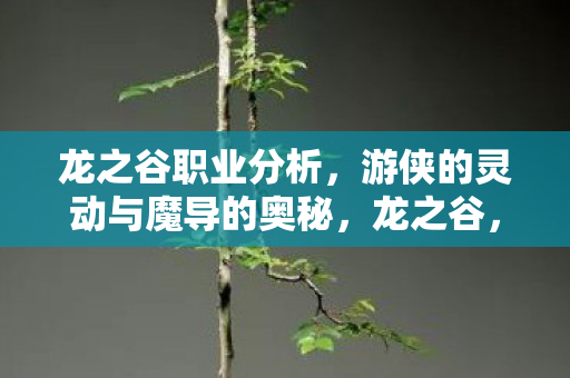 龙之谷职业分析,游侠的灵动与魔导的奥秘,龙之谷,游侠与魔导的奥秘解析 龙之谷职业分析,游侠的灵动与魔导的奥秘,龙之谷,游侠与魔导的奥秘解析