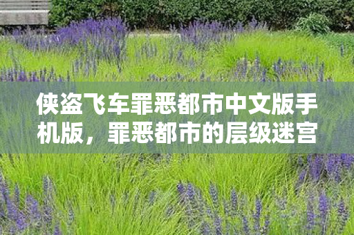 侠盗飞车罪恶都市中文版手机版图片