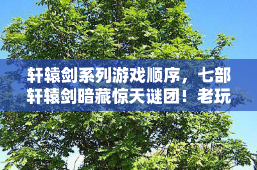 老玩家十年追更竟挖出这真相图片
