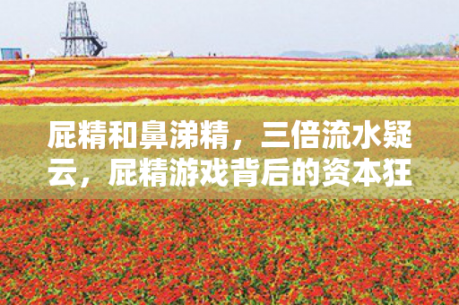 屁精游戏背后的资本狂欢图片