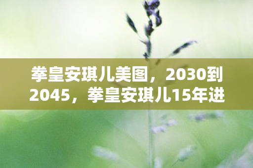 拳皇安琪儿15年进化史图片