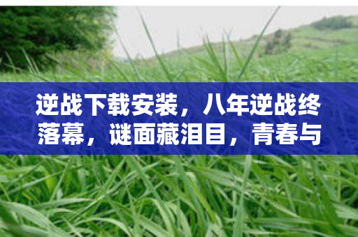 青春与热血何时归图片