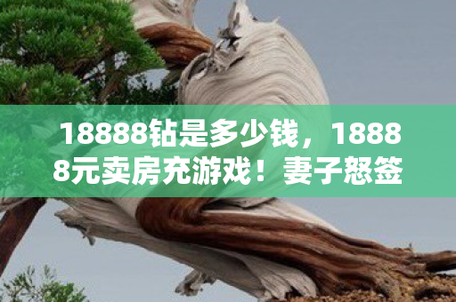 18888钻是多少钱，18888元卖房充游戏！妻子怒签离婚协议，背后隐情吓你一跳！