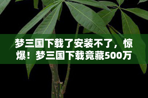 梦三国下载了安装不了,惊爆!梦三国下载竟藏500万隐情,离职老兵拍桌,这数据吓我一跳! 梦三国下载了安装不了,惊爆!梦三国下载竟藏500万隐情,离职老兵拍桌,这数据吓我一跳!