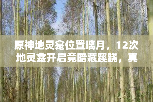 12次地灵龛开启竟暗藏蹊跷图片