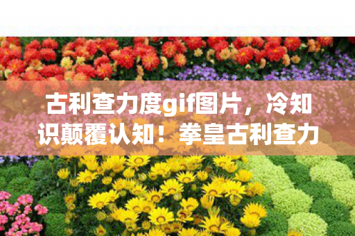 拳皇古利查力度竟藏着目瞪口呆的秘密图片
