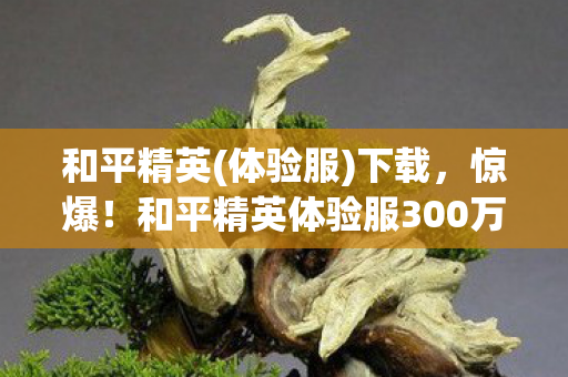 和平精英(体验服)下载，惊爆！和平精英体验服300万方案被毙，背后隐情让人吓一跳！