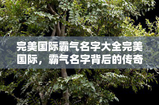 完美国际霸气名字大全完美国际图片