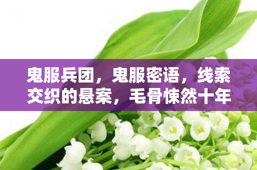 毛骨悚然十年未解之谜图片