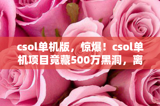 csol单机版，惊爆！csol单机项目竟藏500万黑洞，离职老兵掀桌揭隐情，吓一跳！