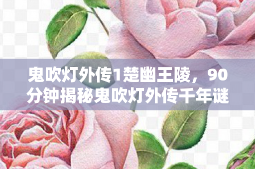 90分钟揭秘鬼吹灯外传千年谜面图片