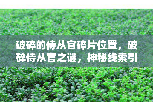 破碎的侍从官碎片位置图片