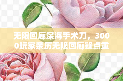 3000玩家亲历无限回廊疑点重重图片