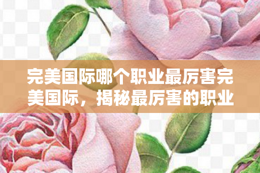 完美国际哪个职业最厉害完美国际图片