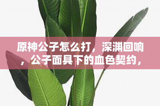 原神公子怎么打，深渊回响，公子面具下的血色契约，谁在操控提瓦特暗局？