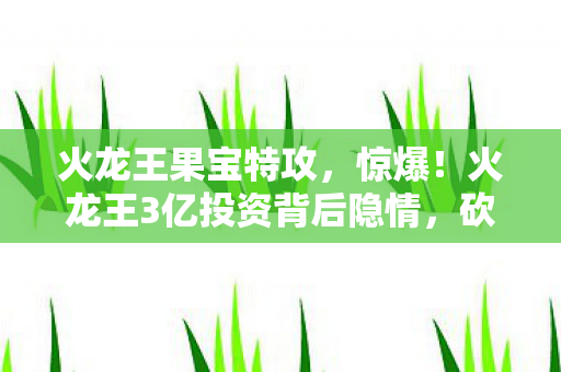 火龙王3亿投资背后隐情图片