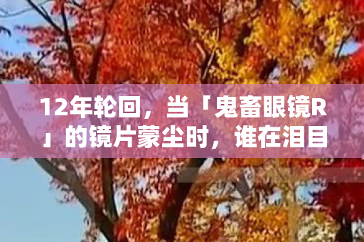 谁在泪目中看见真相图片