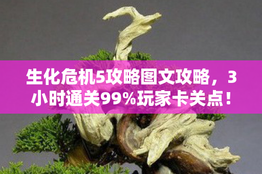 这招让克里斯的刀比子弹更疼图片