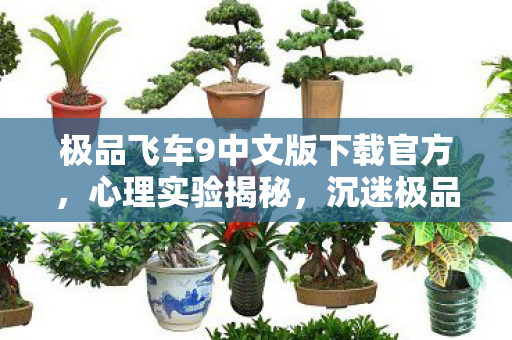 沉迷极品飞车9竟是多巴胺陷阱图片